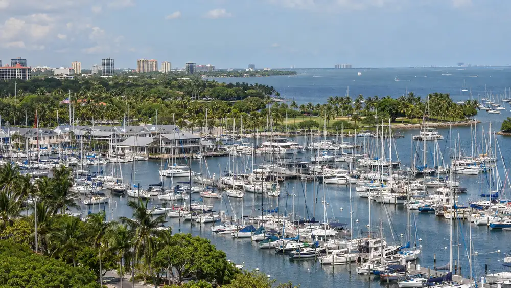 Coconut Grove, Florida — web design client area