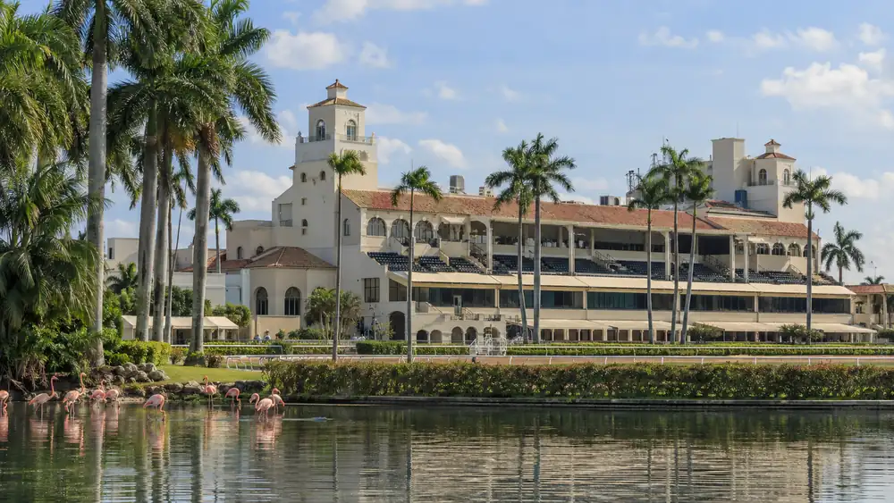 Hialeah, Florida — web design client area