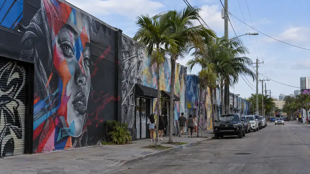 Wynwood, Florida — web design client area